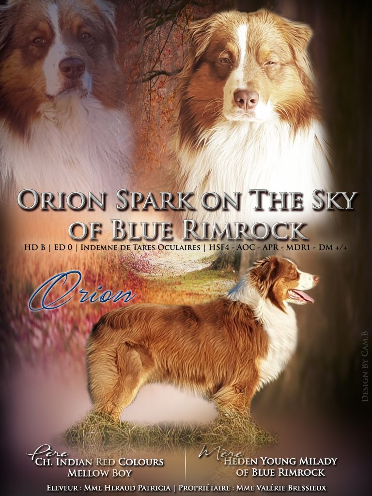 Orion spark on the sky Of Blue Rimrock