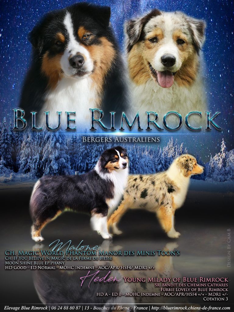 Of Blue Rimrock - Naissances prévues le 5 décembre 2019
