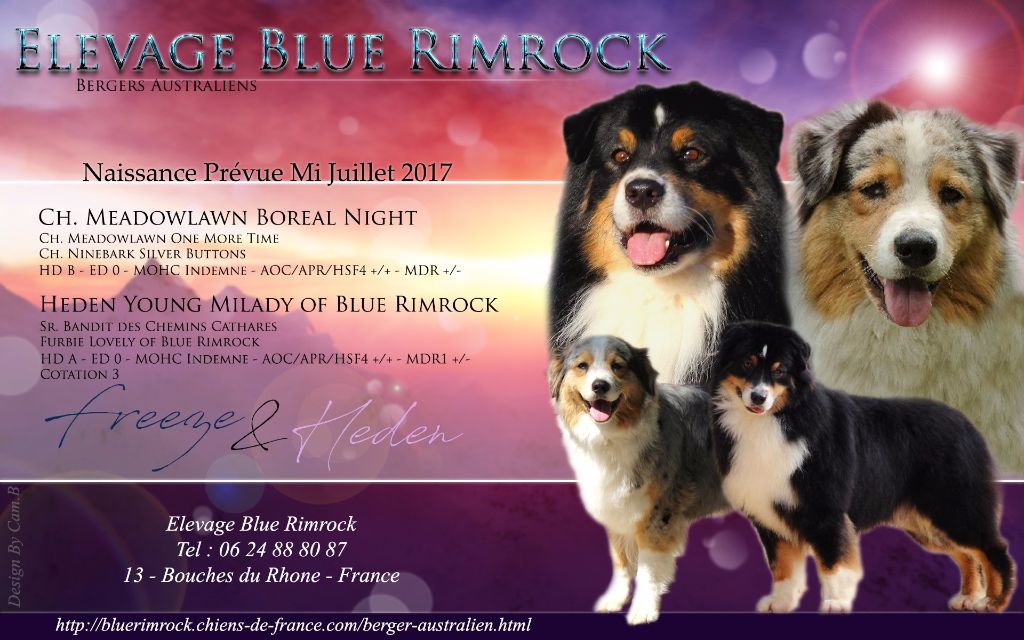 Of Blue Rimrock -  BEBES ATTENDUS 