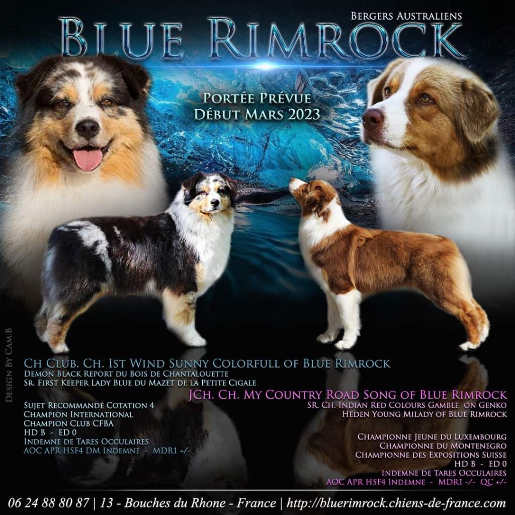 Of Blue Rimrock - Portée Ryley/Shelby 