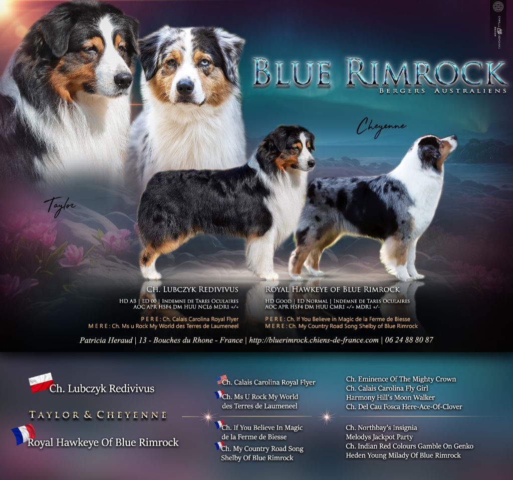 Of Blue Rimrock - derniere ligne droite pour Cheyenne