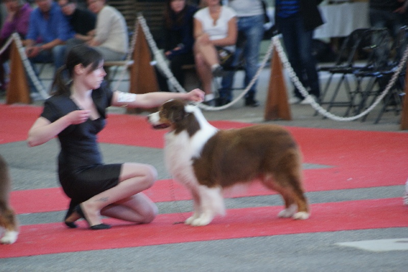 CERILLY 2013